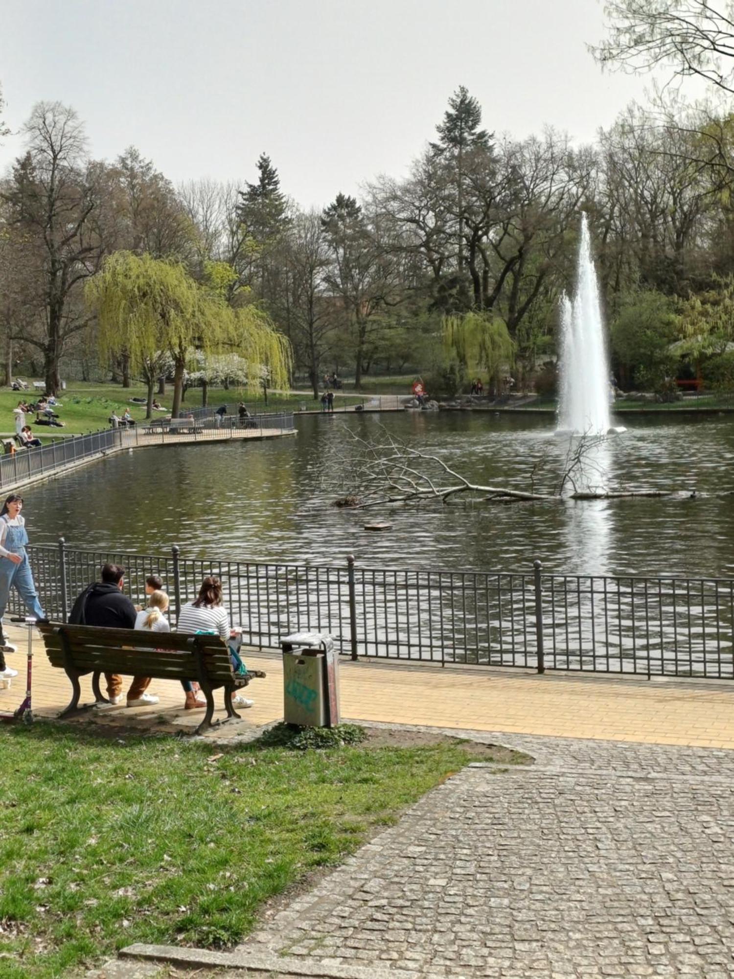 Suite Park & City Alex 4 Rooms 2 Bathrooms 2 Kitchen Berlin Eksteriør bilde